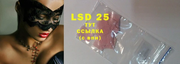дживик Горняк
