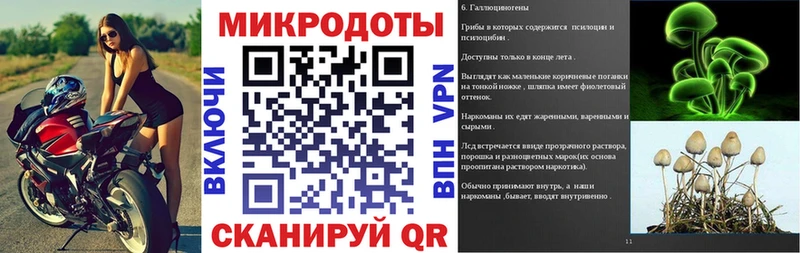 Купить  Суоярви  Галлюциногенные грибы MAGIC MUSHROOMS 