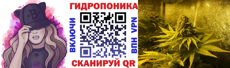 Конопля LSD WEED  Купить где  Суоярви 